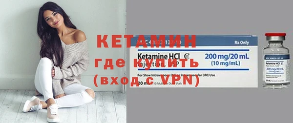 молекула духа Вяземский