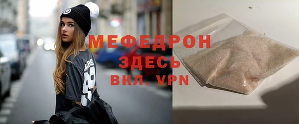 молекула духа Вяземский