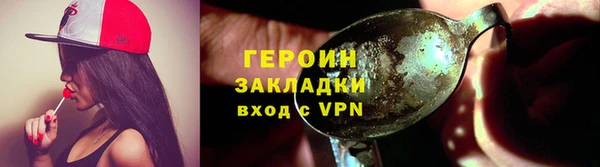 молекула духа Вяземский