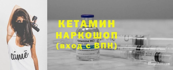 молекула духа Вяземский