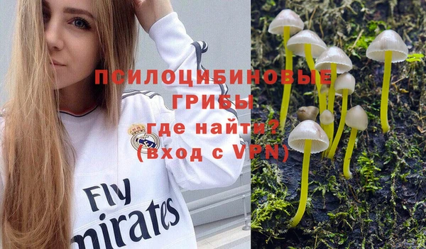 молекула духа Вяземский