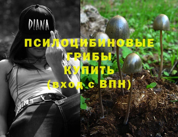 молекула духа Вяземский