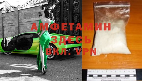 молекула духа Вяземский