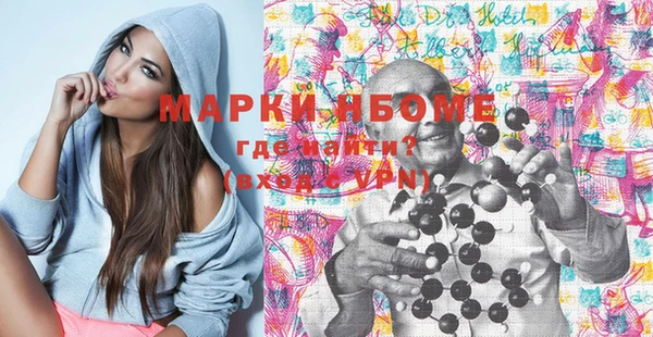 молекула духа Вяземский