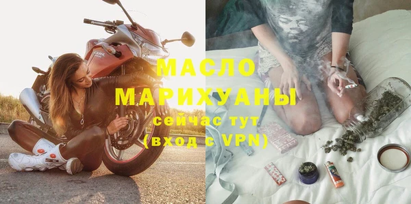 молекула духа Вяземский