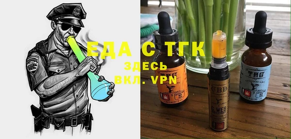молекула духа Вяземский