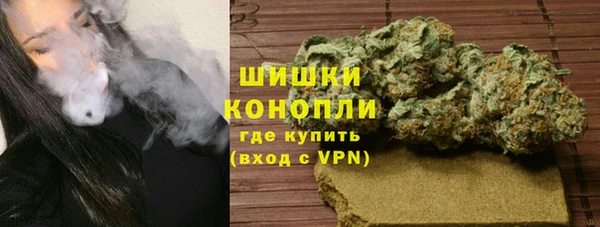 молекула духа Вяземский