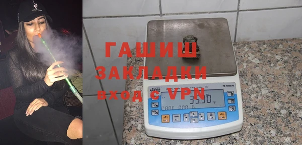молекула духа Вяземский