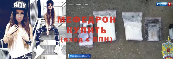 молекула духа Вяземский