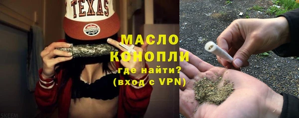 молекула духа Вяземский