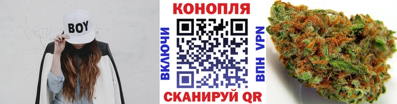 Купить где  Суджа  Бошки Шишки ГИДРОПОН 